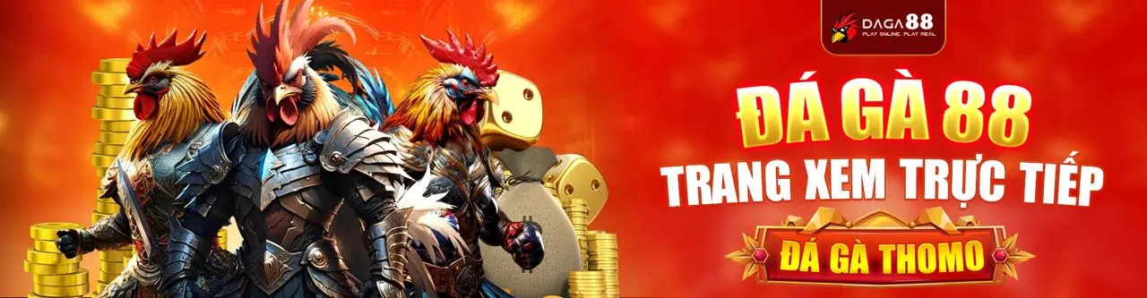 Ứng dụng yoo88 code trên điện thoại