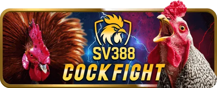 Hướng dẫn sử dụng yoo88 code